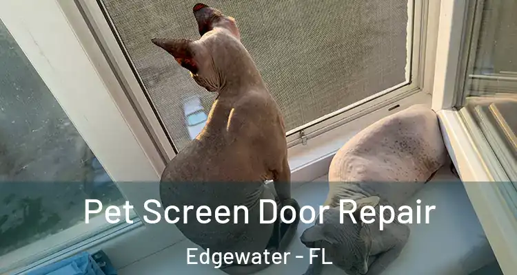  Pet Screen Door Repair Edgewater - FL